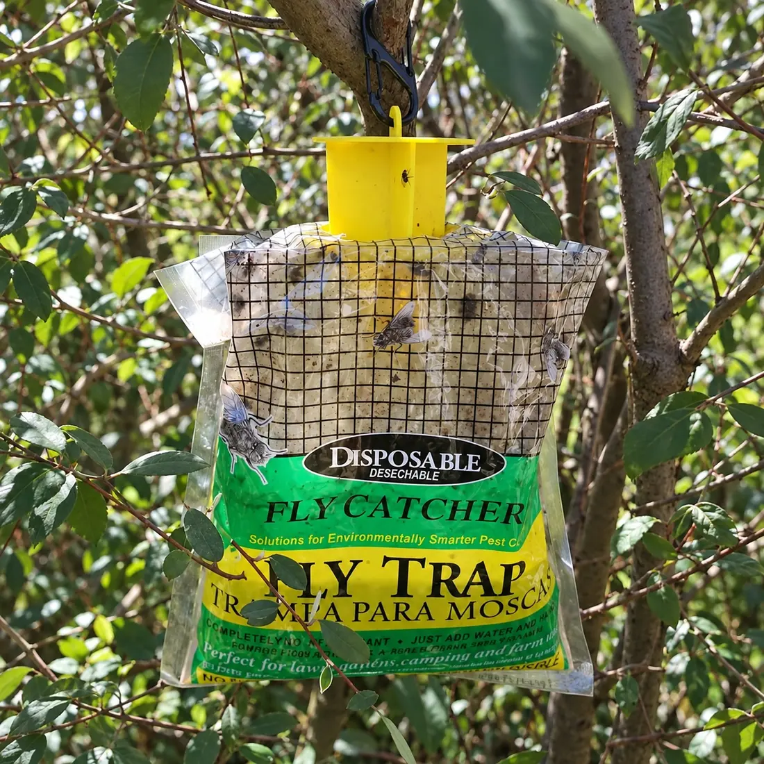 Trampa VIREO colgada de una rama, con la malla cubierta de moscas